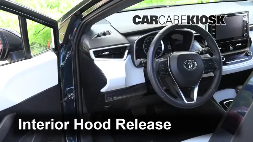 2019 Toyota Corolla SE 1.8L 4 Cyl. Hatchback Hood